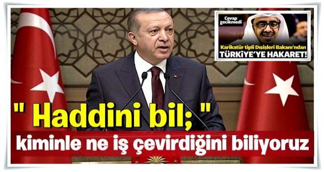 Erdoğan'dan BAE Dışişleri Bakanı'na çok sert tepki: