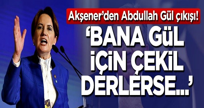 Meral AkÅener'den Abdullah GÃ¼l Ã§Ä±kÄ±ÅÄ±: Bana GÃ¼l iÃ§in Ã§ekil derlerse...