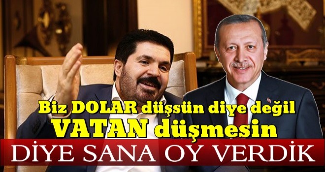 SavcÄ± Sayan'dan gÃ¼nÃ¼n yorumu: VatanÄ± dolar olanlar...