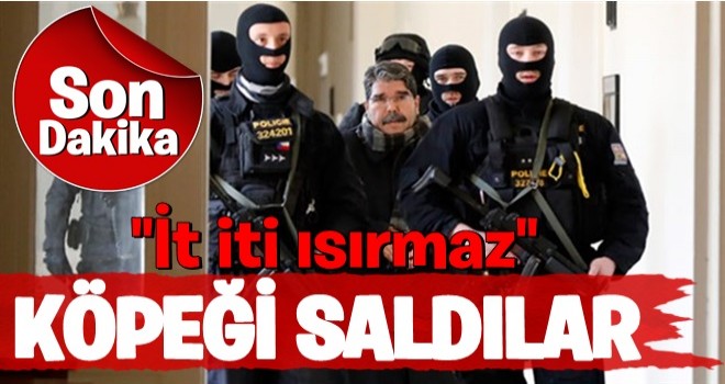 Çekya'dan Skandal Karar! Salih Müslim Serbest Bırakıldı