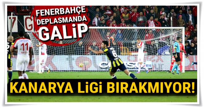 Fenerbahçe seriye bağladı