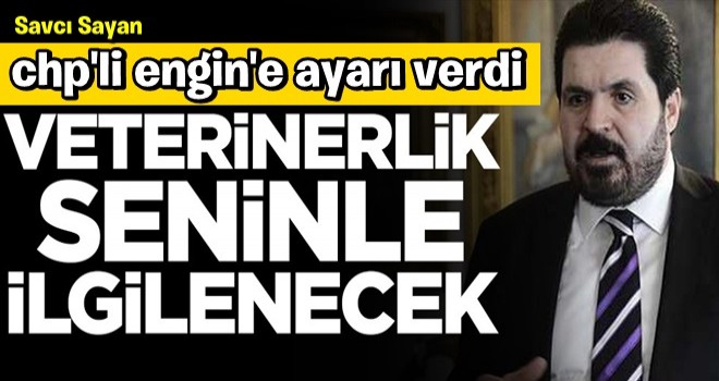 Savcı Sayan'dan CHP'li isme olay sözler: Veterinerlik seninle ilgilenecek