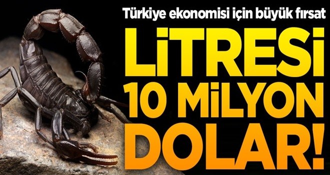 Litresi 10 milyon dolar! Türkiye ekonomisi için büyük şans