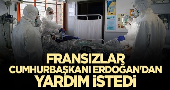 Fransızlar Cumhurbaşkanı Erdoğan'dan yardım talep etti