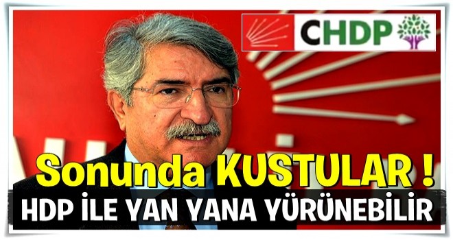 Fikri Sağlar: CHP HDP'yle yan yana yürünebilir