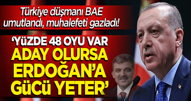 Umutlanan BAE muhalefete gaz verdi! "Aday olursa Erdoğan'ı hezimete uğratır"