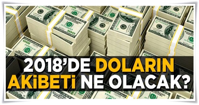 Doların maliyeti 2018’de artabilir