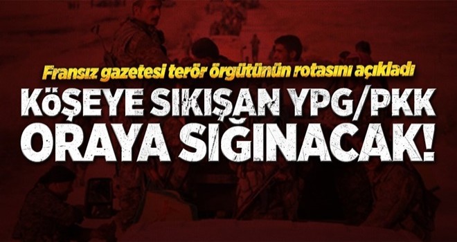 YPG/PKK oraya sığınacak! .