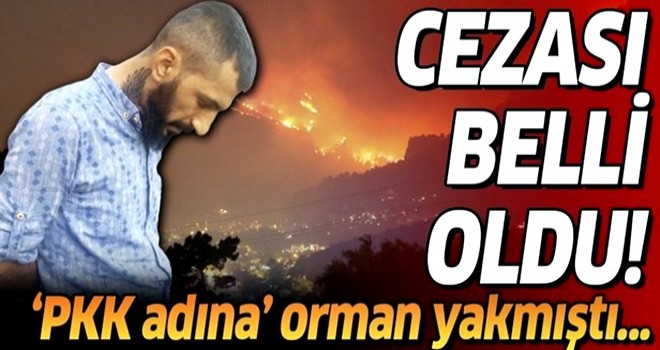 Aydos Ormanı'nı yakan PKK'lı Yakup Akman'a müebbet hapis cezası