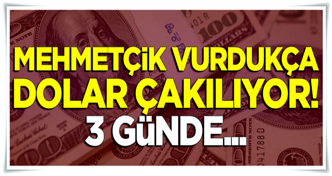 Mehmetçik vurdukça dolar çakılıyor! 3 günde...