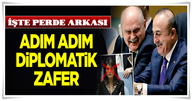 Adım adım diplomatik zafer