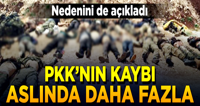 Ağar açıkladı: PKK'nın kaybı daha fazla!