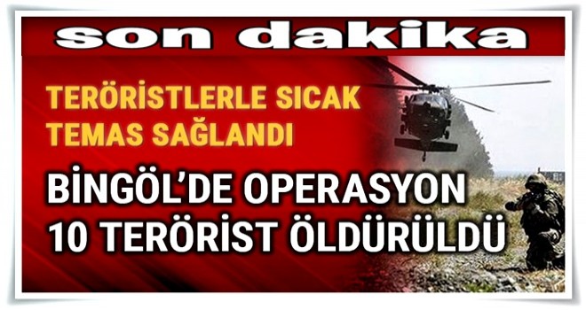 Bingöl'de 10 terörist etkisiz hale getirildi