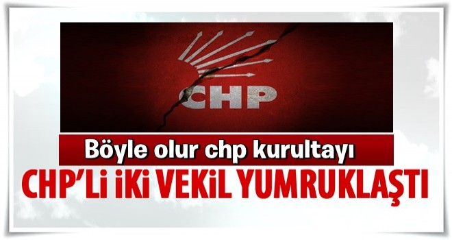 CHP’li iki vekil yumruklaştı