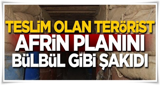 Teslim olan terörist Afrin planını bülbül gibi şakıdı