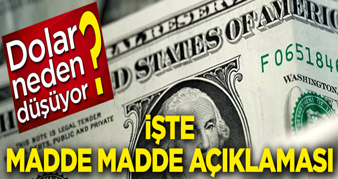 İşte doların madde madde düşme nedenleri