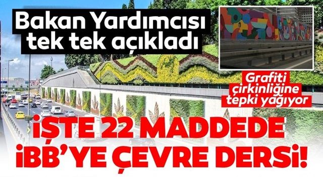 İstanbul'daki grafiti çirkinliğine tepki yağıyor! Bakan Yardımcısı Birpınar'dan İBB'ye çevre dersi