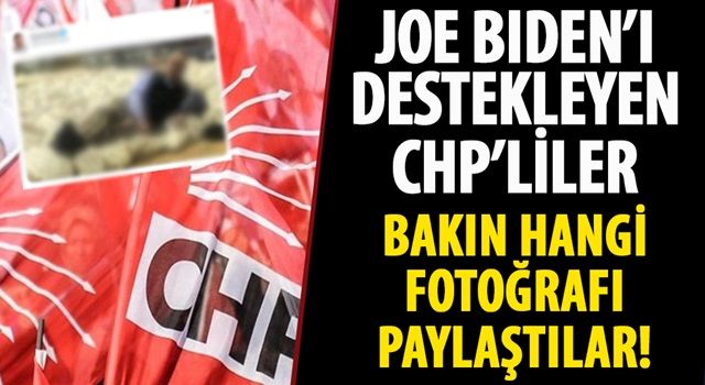 Joe Biden'ı destekleyen CHP'liler Mahmut Tanal'ın oy torbaları üzerinde yattığı fotoğrafı paylaşıyor