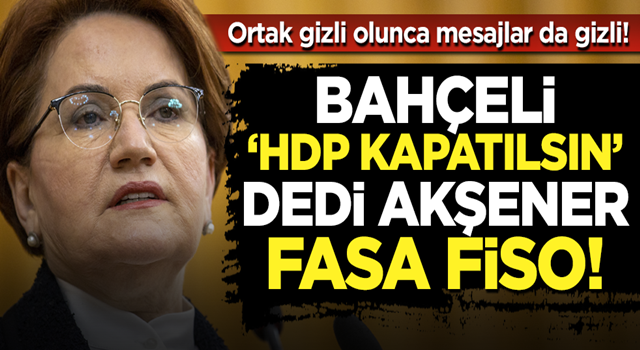 Bahçeli'nin 'HDP kapatılsın' çağrısına Meral Akşener'den fasa fiso: Erdoğan HDP'yi kapatmaz