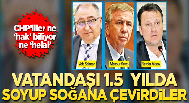 Vatandaşı 1.5 yılda soyup soğana çevirdiler!