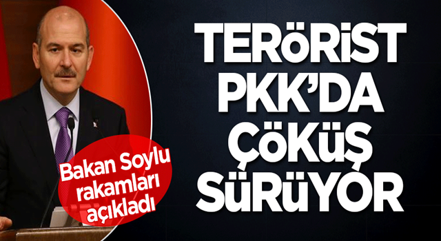 Terörist PKK'nın nasıl dibe vurduğunu Bakan Soylu açıkladı