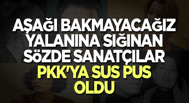 Aşağı bakmayacağız yalanına sığınan sözde sanatçılar PKK'ya sus pus oldu