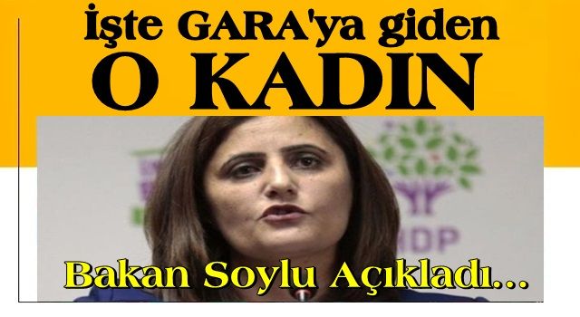 Bakan Soylu Gara'ya giden HDP'li vekili açıkladı!