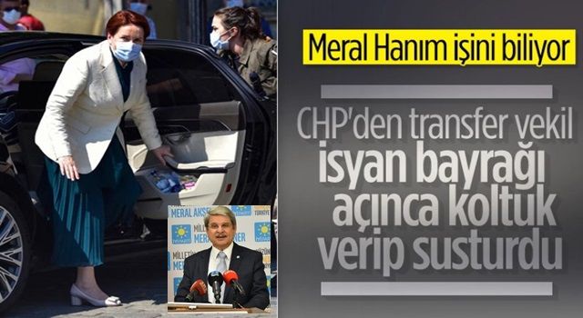 Meral Akşener, Aytun Çıray'ı başdanışmanı olarak atadı