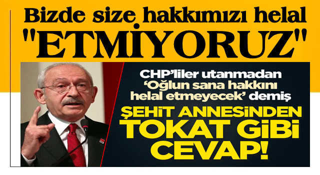 "Oğlunuz size hakkını helal etmeyecek" diyen CHP'ye şehit annesinden tokat gibi cevap!