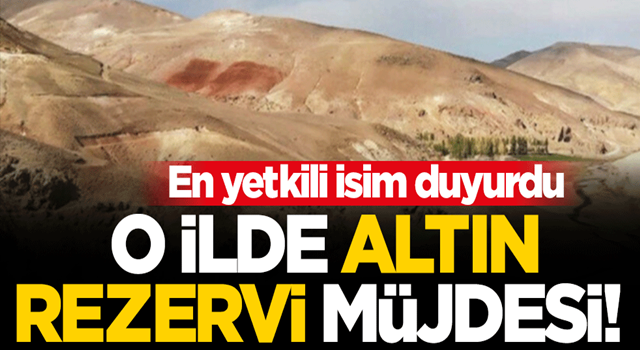 Ağrı'dan altın rezervi müjdesi! En yetkili isim duyurdu