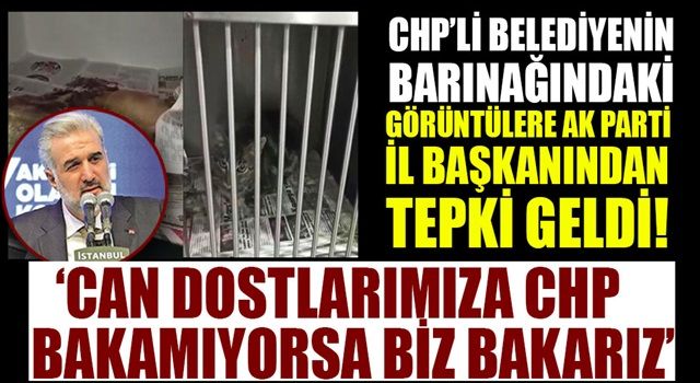 CHP'li belediyenin barınağındaki skandal görüntülere AK Parti İl Başkanı'ndan tepki!