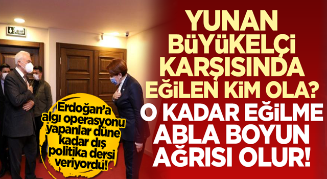 İYİ Parti Genel Başkanı Meral Akşener, Yunan Büyükelçi karşısında böyle eğildi!