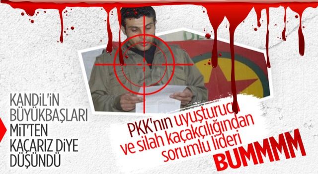 PKK'nın sözde gümrük sorumlusu Ömer Aydın etkisiz hale getirildi