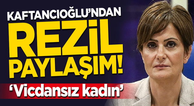 CHP'li Canan Kaftancıoğlu’ndan skandal paylaşım! Yalan siyasetine Aylan bebeği alet etti