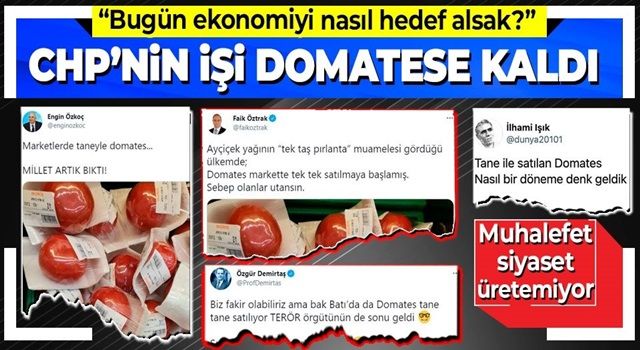 Muhalefetin 'domates' üzerinden giriştiği algı operasyonu boşa çıktı!