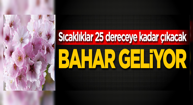 Sıcaklıklar 25 dereceye kadar çıkacak! Bahar geliyor