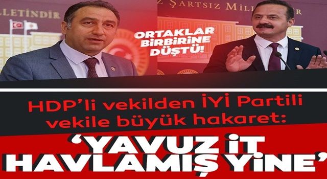 Ali Kenanoğlu, Yavuz Ağıralioğlu&#39;na it dedi