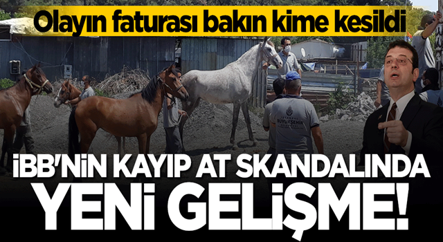 CHP'li İBB'nin kayıp at skandalında yeni gelişme! Görevinden alındı