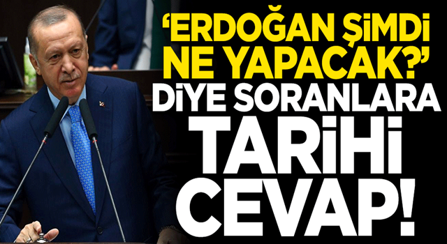 'Erdoğan şimdi ne yapacak?' diye soranlara tarihi cevap!