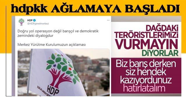 HDP, TSK'nın Irak'ın kuzeyindeki operasyonlarını eleştirdi