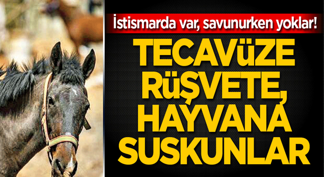 İstismarda var, savunurken yoklar! Tecavüze rüşvete, hayvana suskunlar