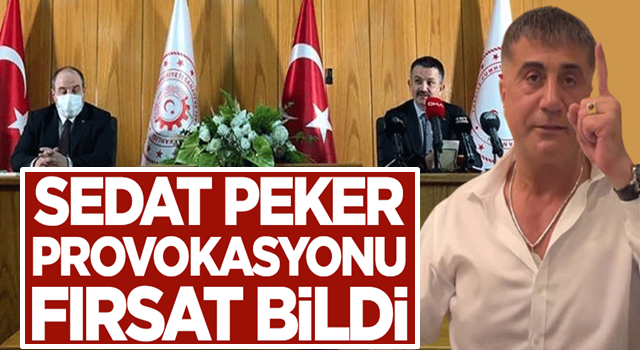 Sedat Peker provokasyonu fırsat bildi