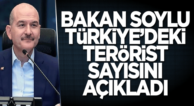 Bakan Soylu Türkiye’deki terörist sayısını açıkladı