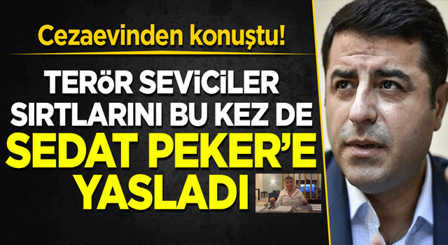 Terör seviciler sırtlarını bu kez de Sedat Peker'e yasladı!