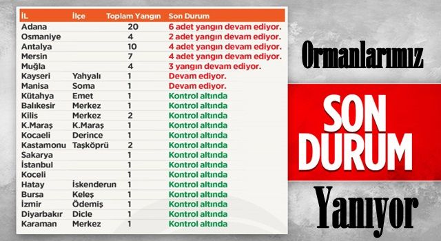 21 ilde çıkan 63 yangının 42'si kontrol altına alındı