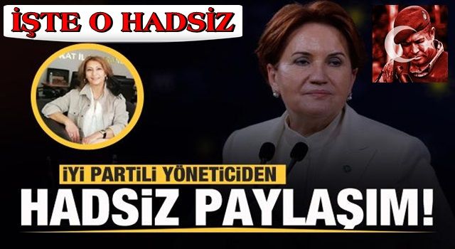 İYİ Partili isimden skandal 'Ömer Halisdemir' paylaşımı! Tepki yağdı