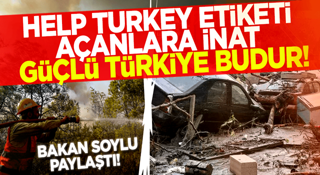 Bakan Soylu rakamı açıkladı! Help Turkey etiketi açanlara inat Güçlü Türkiye budur!