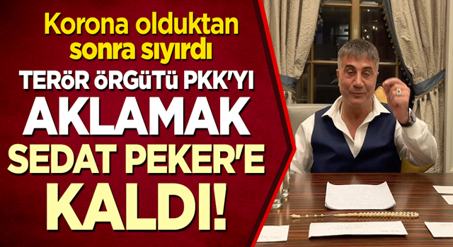 Korona olduktan sonra sıyırdı: Terör örgütü PKK'yı aklamak firari suç örgütü lideri Sedat Peker'e kaldı!