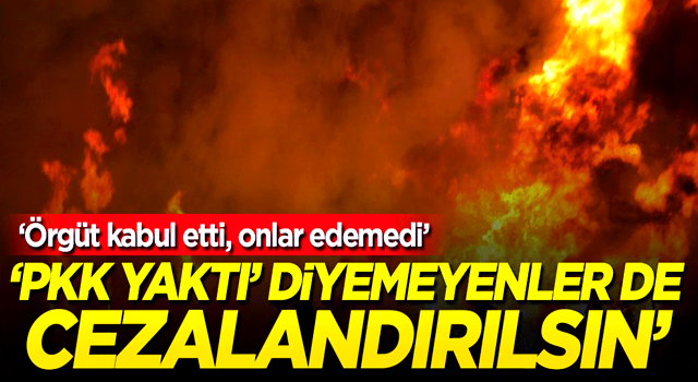 PKK bile kabul etti, onlar edemedi! 'Cezalandırılsınlar'