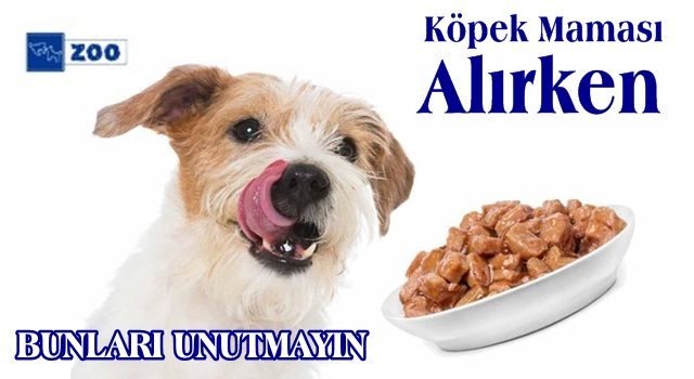 Köpek Maması (Ödül, Açık, Kuru, Yaş, Konserve) Alırken Bunları Unutmayın!